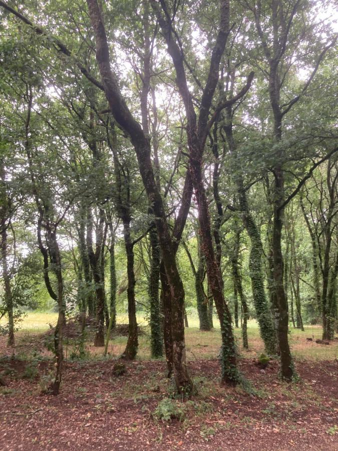 Camping Vila De Sarria Buitenkant foto